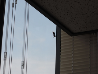 DSCN4301.JPG