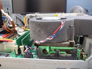 P9060036.jpg